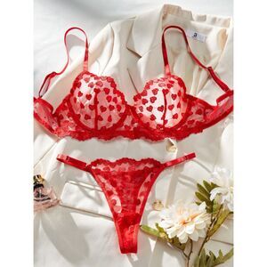 Large 2 pc. Sexy Red Mesh Sheer Heart Embroidered Demi Bra Lingerie Set
